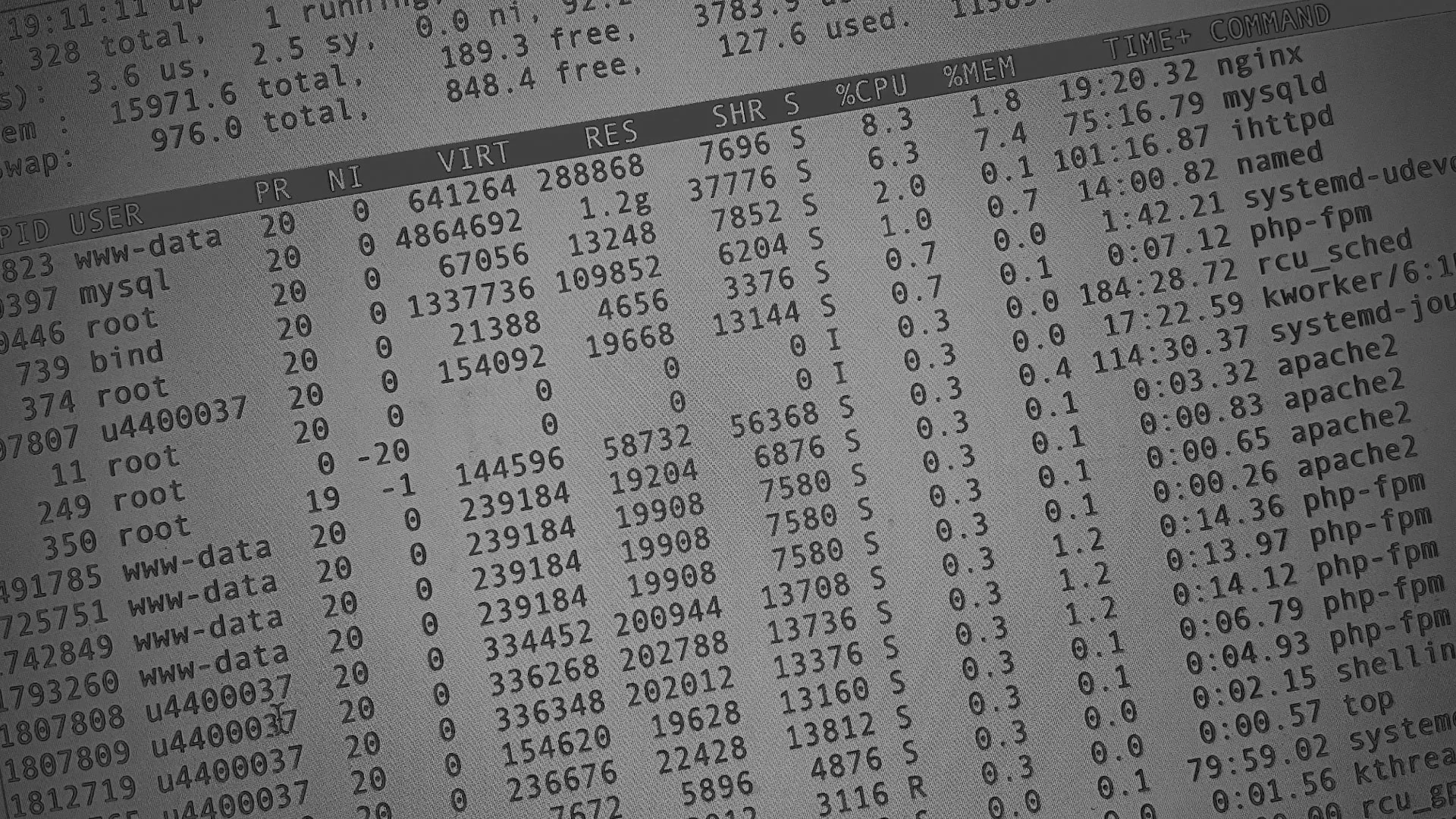 Настройка сервера в Городовиковске